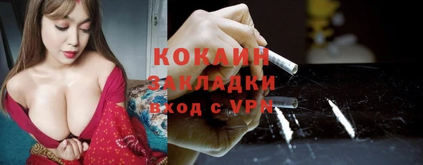 ешки Арсеньев