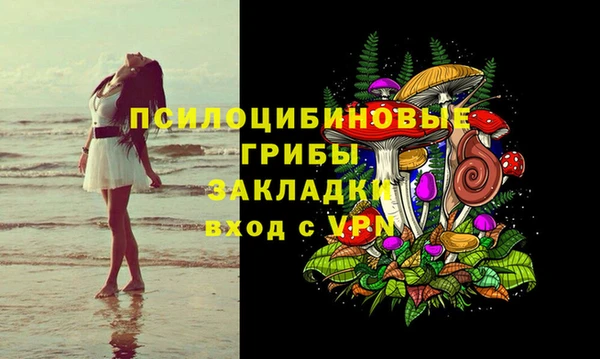 ешки Арсеньев