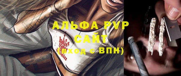 a pvp Аркадак