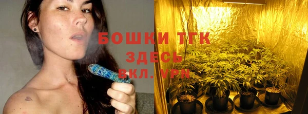 a pvp Аркадак