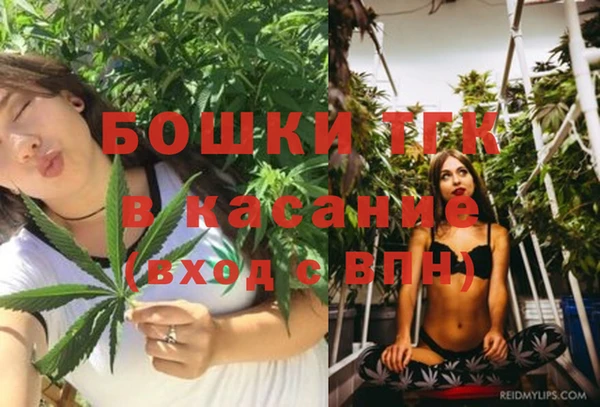 ешки Арсеньев