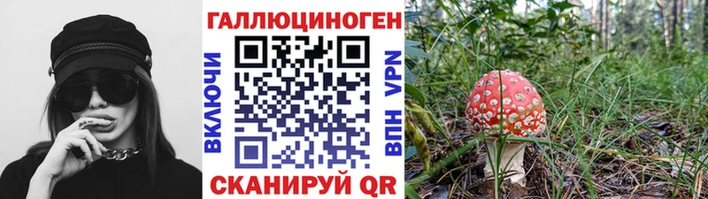 Псилоцибиновые грибы Cubensis  Купить где  Никольское 